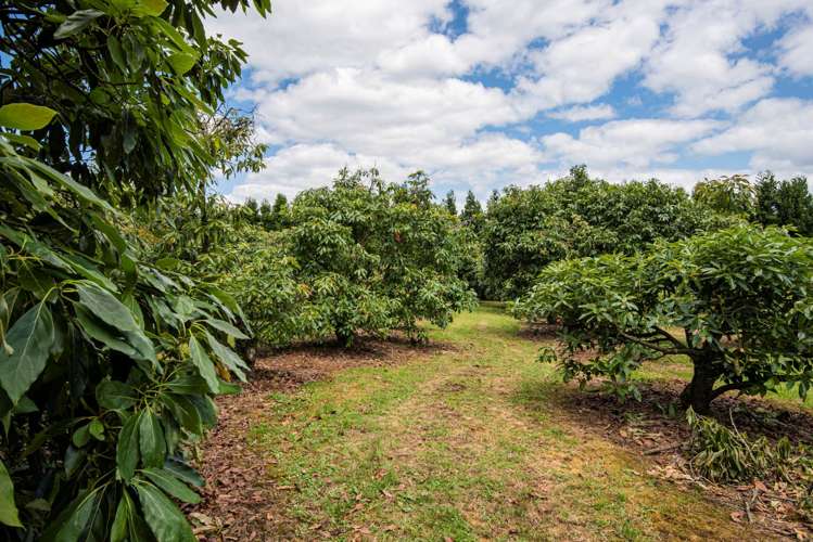 1700 State Highway 14 Maungatapere_24