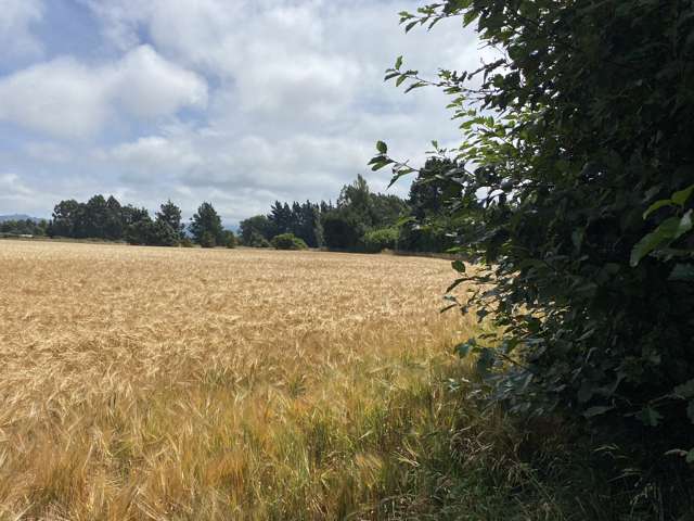 Willowbridge Road Waimate_1