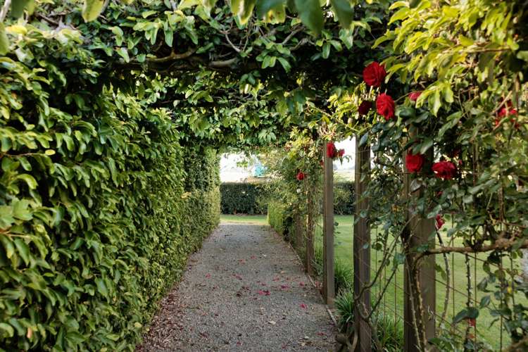 173 Okauia Springs Road Okauia_21