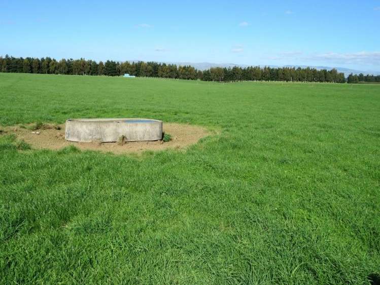 746 Top Grass Road Dannevirke_4