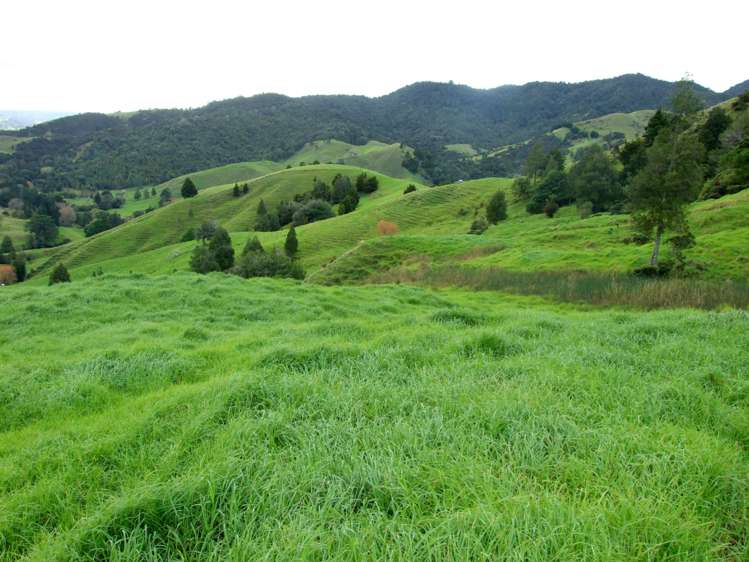 185 Takahue Saddle Road Takahue_16