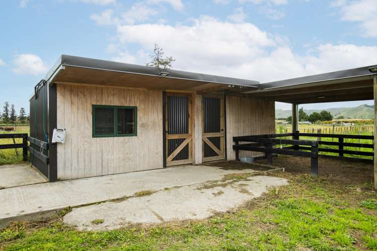 1290 Matawai Road Ormond_12