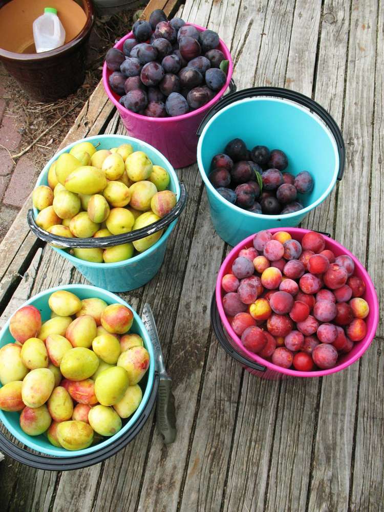 50 Matahui Road Aongatete_16