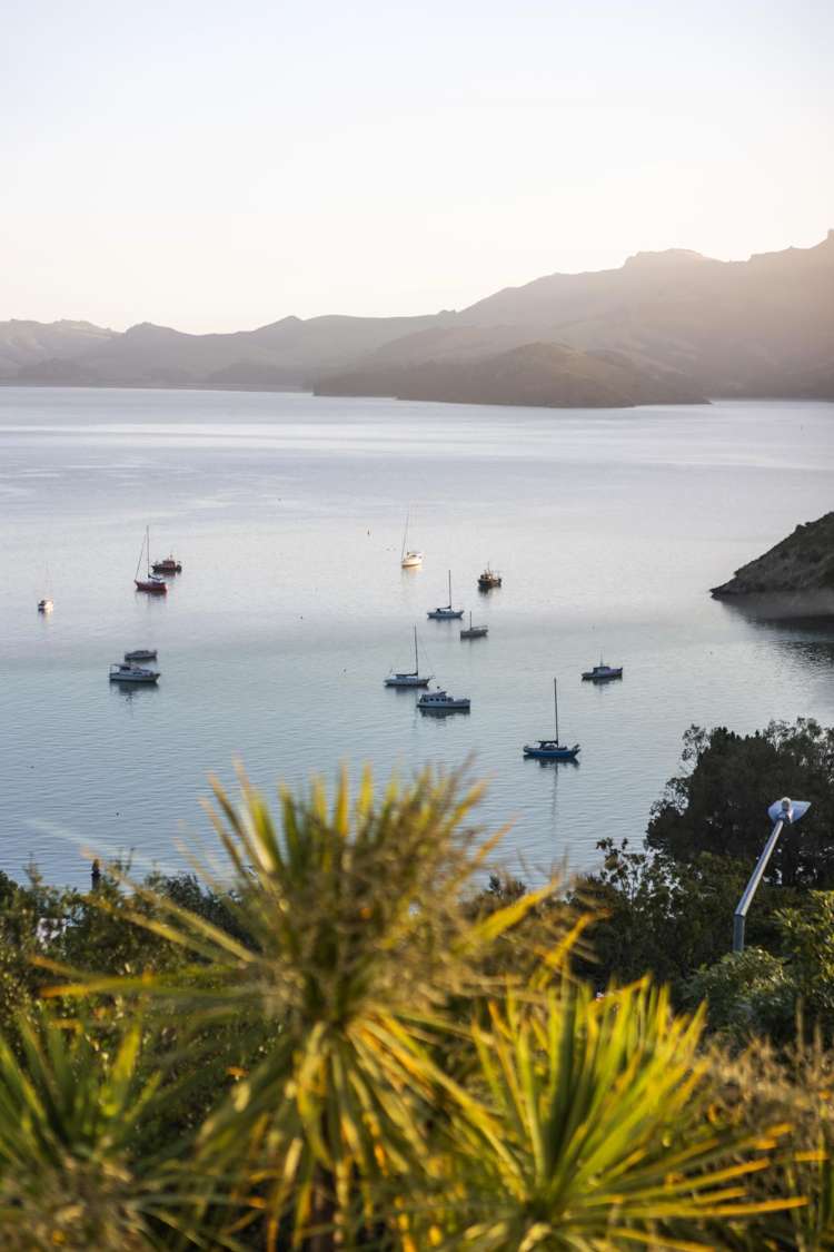 56 Governors Bay Road Cass Bay_38