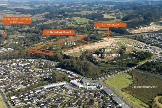 Limited Edition & Endless Potential