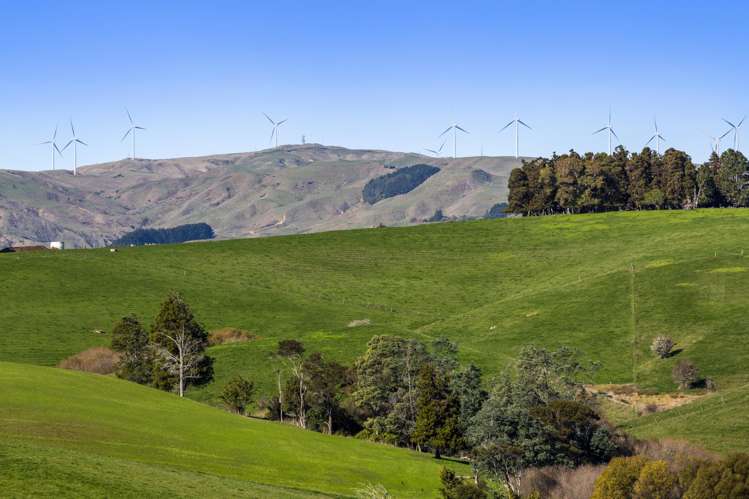 7b Three Streams Road Raglan_21