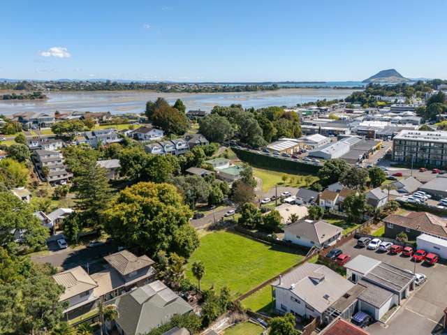 Rare Investment Oppportunity! A Developer's Dream!