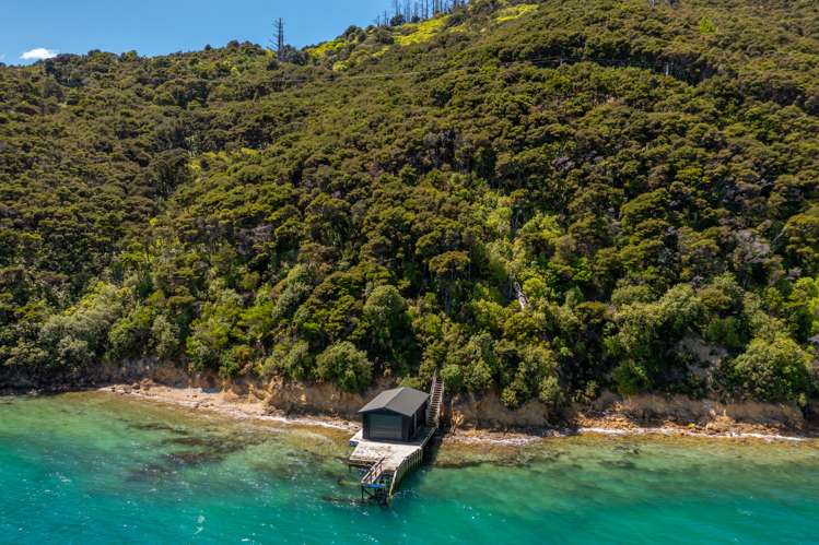 Curious Cove Curious Cove_6