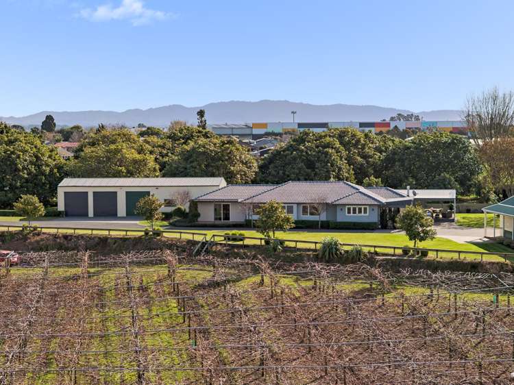 56 Conway Road Paengaroa_15