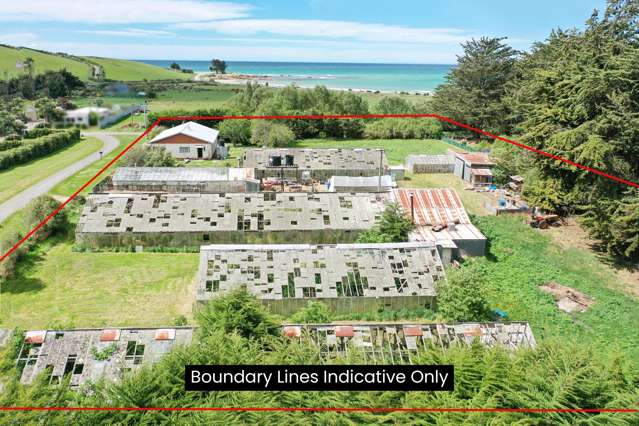 5 George Street Kakanui_2