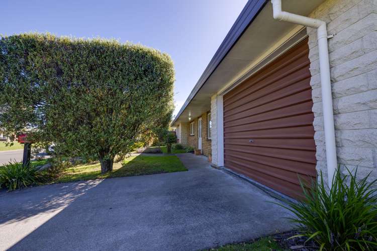 208 Avondale Road Greenmeadows_8