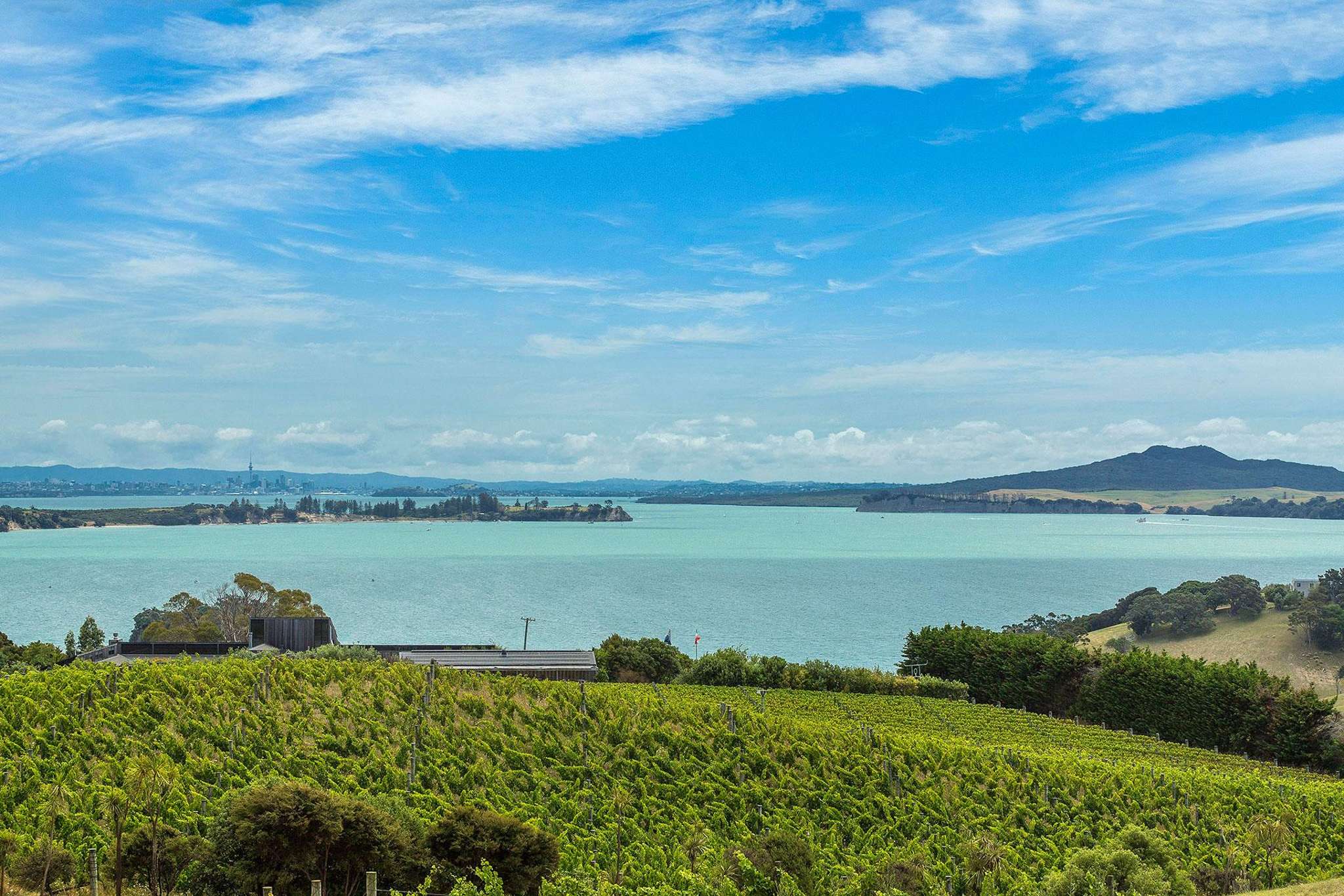 H & H Real Estate - A Branch of eXp New Zealand Licensed REAA (2008)