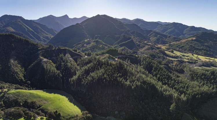 Graham Valley Road Motueka Valley_11