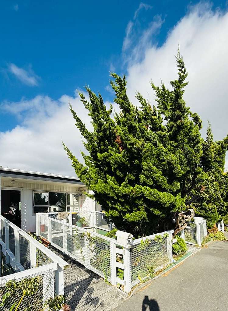 3A Ironside Road Johnsonville_1