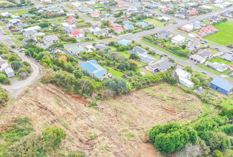 1 Elizabeth Street Bluff_7