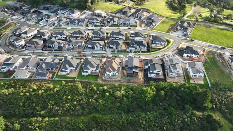 67 Kewa Road Albany Heights_6