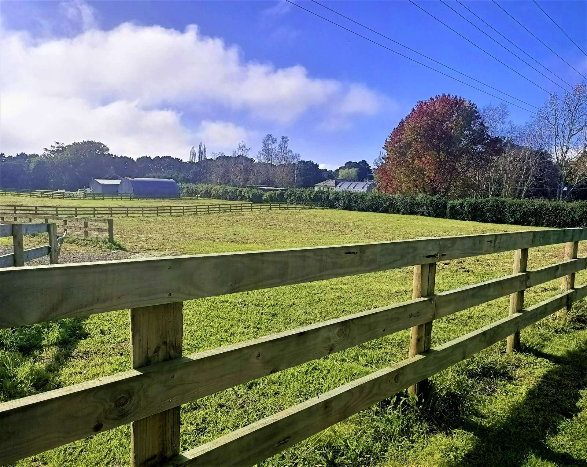 477 Kuranui Road Morrinsville_0