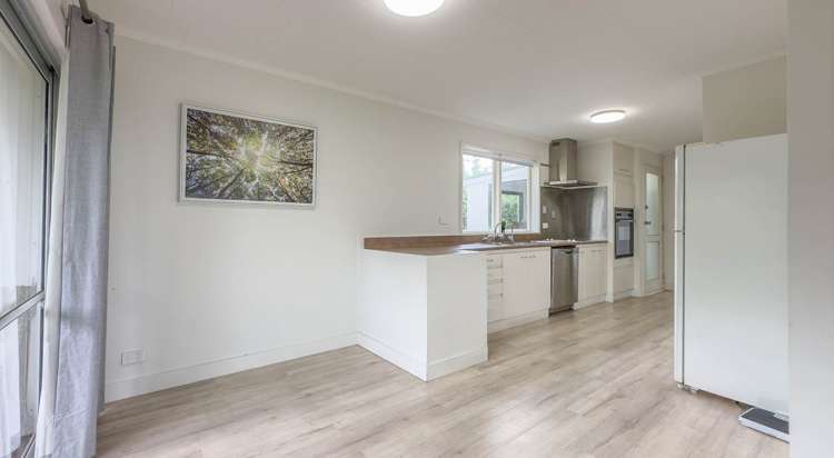 218 Hampton Downs Road Te Kauwhata_44