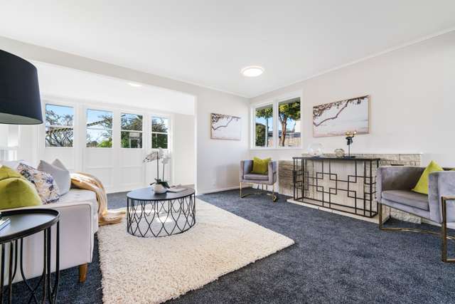 46 Ellis Avenue Mount Roskill_1