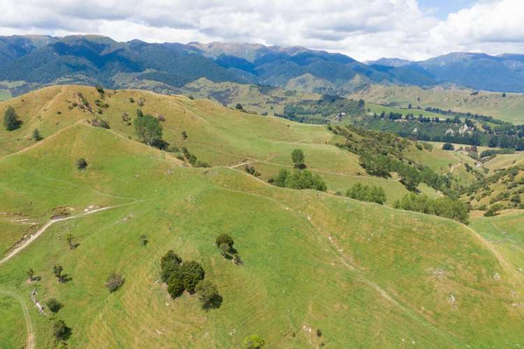 131 Rangitane Road Mangaweka_11