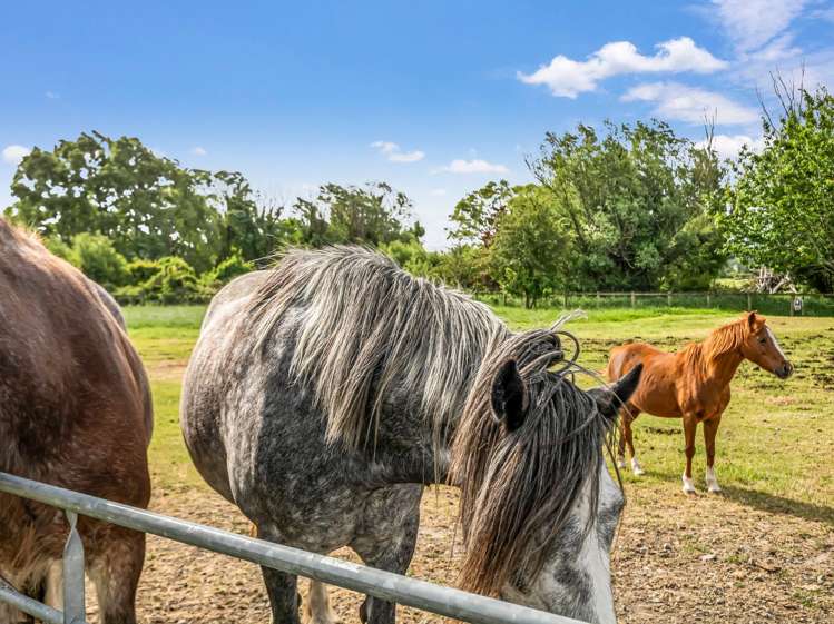 12 Swamp Road Cust_27