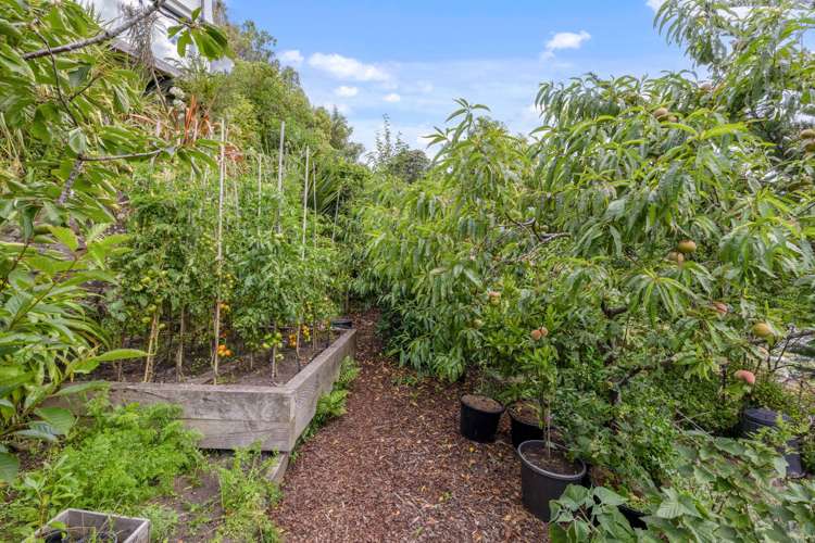 178 Major Hornbrook Road Mount Pleasant_29