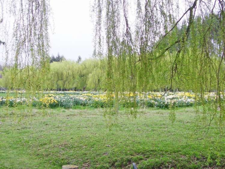 66 Brophy Road Geraldine_8