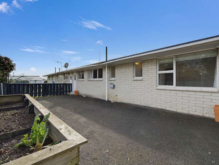 48A Domain Road Whakatane_27