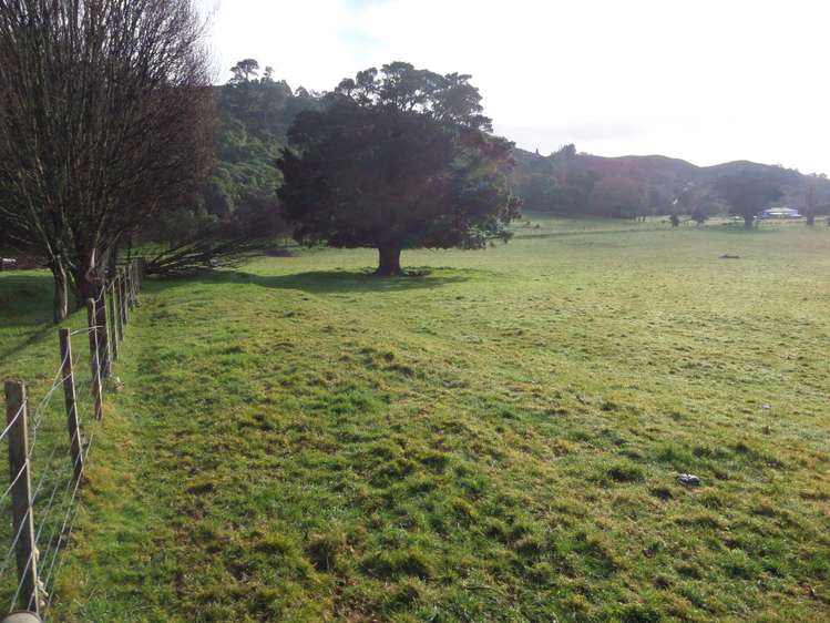 Harrison Street Featherston_8