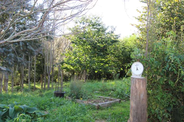 199 Waituna Road Pahiatua_8