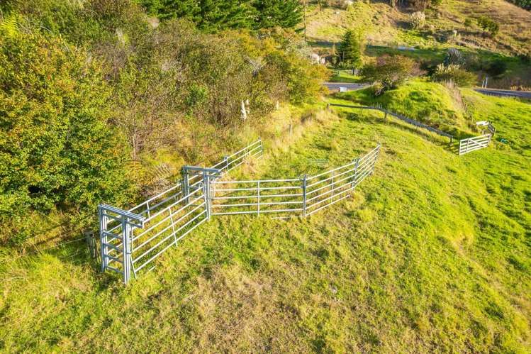 Kawhia Road (SH 31) Kawhia_5