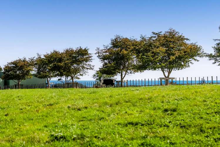 Lot 1 Weld Road Upper Oakura_12
