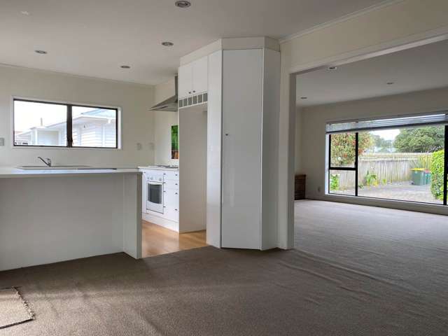 1 Mattson Road Pakuranga_2