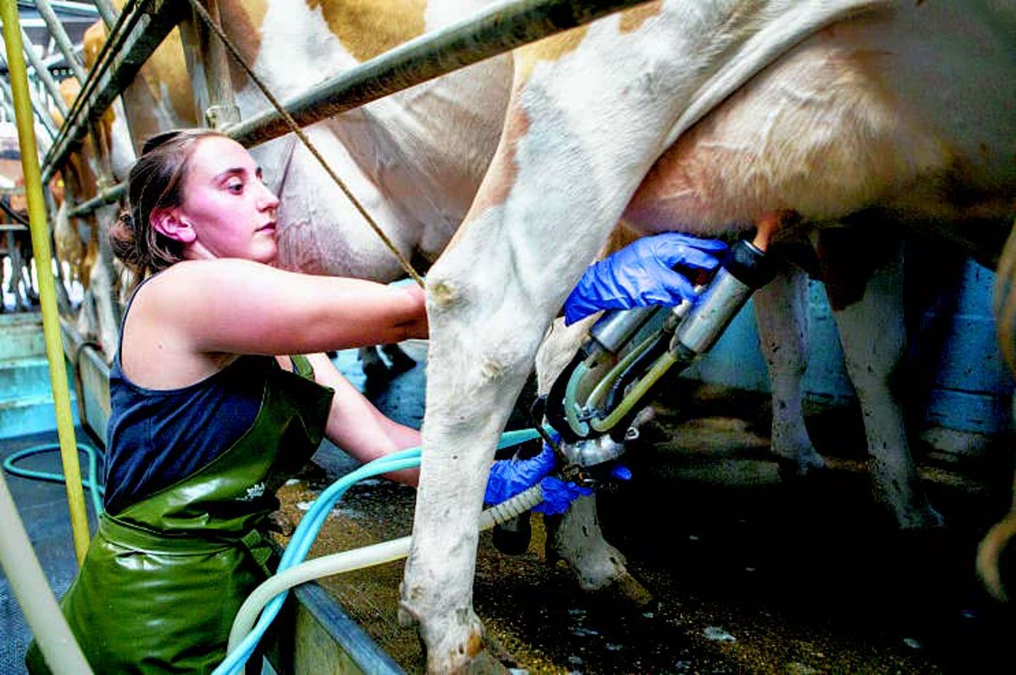 Sizeable lift in on-farm salaries