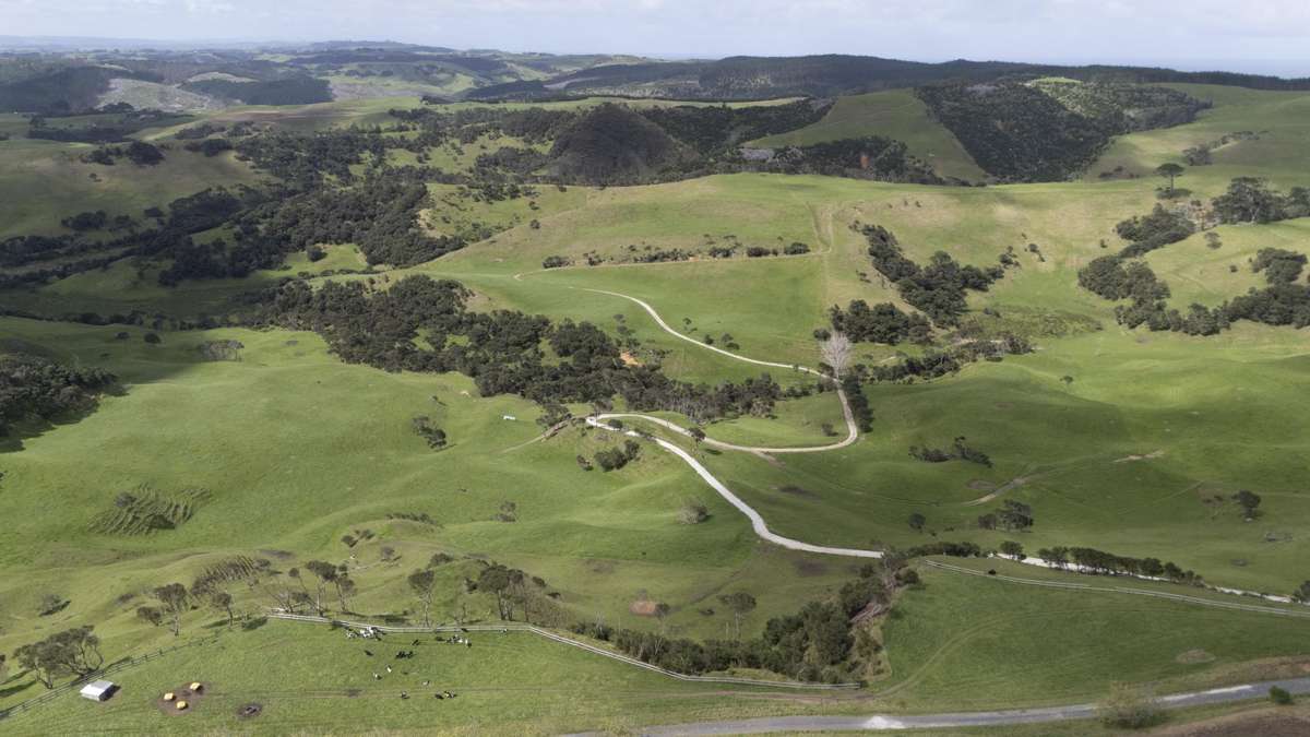 147 Fuller Road, South Head_3