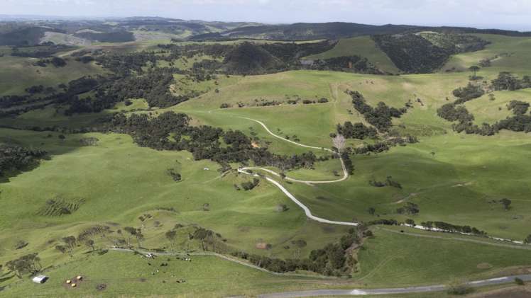 147 Fuller Road, South Head Helensville_7