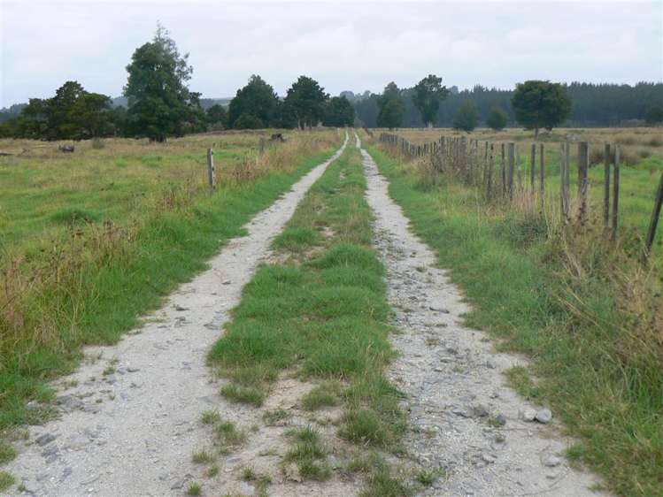 State Highway 12 Kaikohe_2