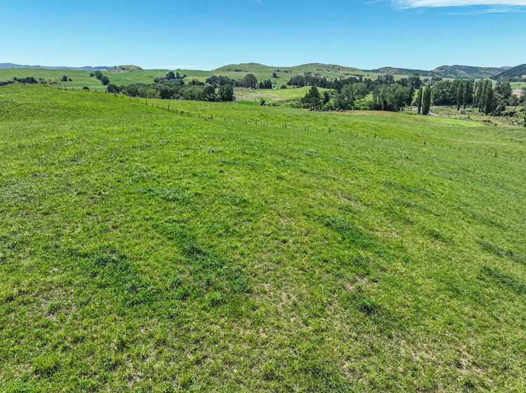 108 Sandy Creek Road Tutira_22