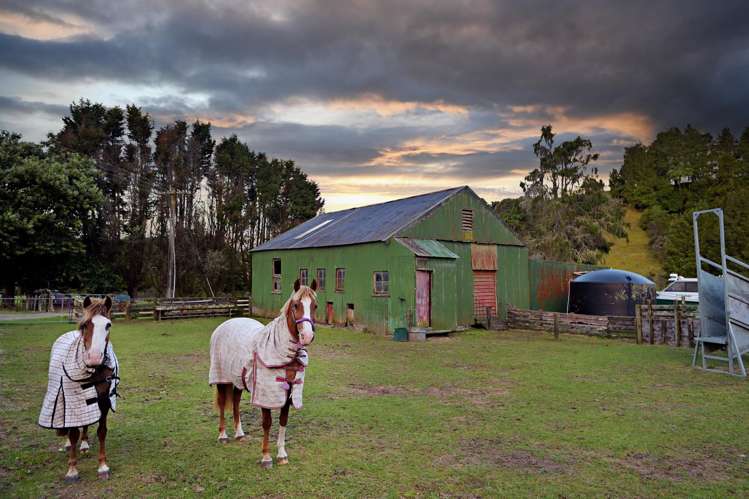 693G Stanley Road Wainui_21