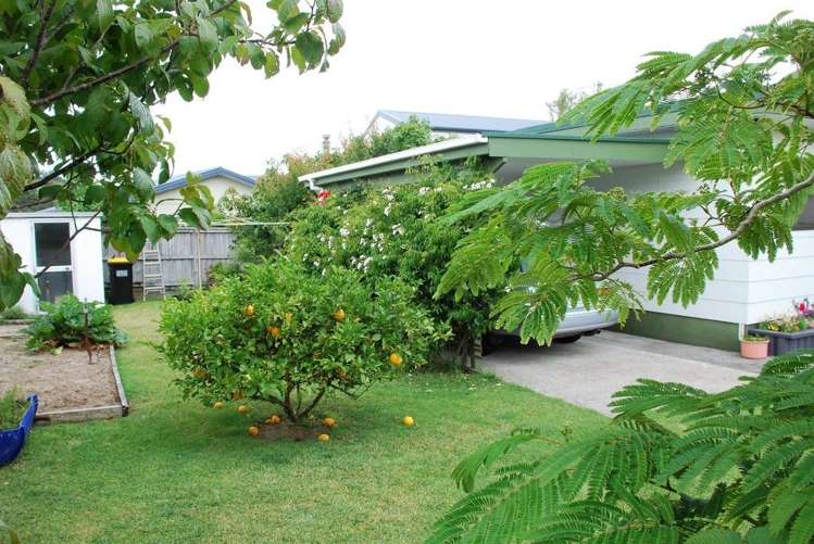 29 Joseph Road Whitianga_6