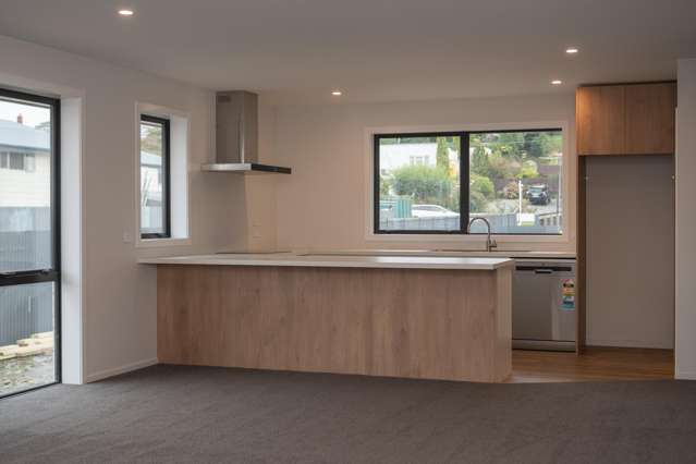 15a Royal Street Timaru_2