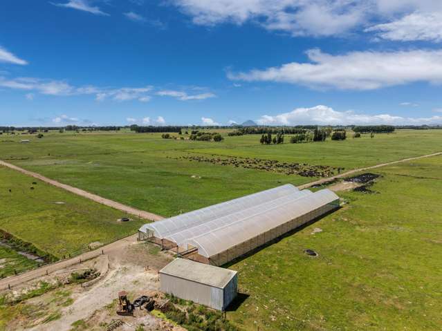 172 Sutherland Road Matata_2