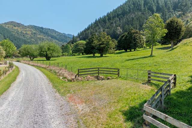 30 Twidles Road Havelock_4