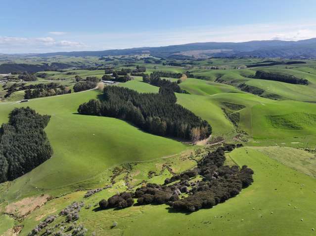 Strong South Otago Sheep and Beef Property