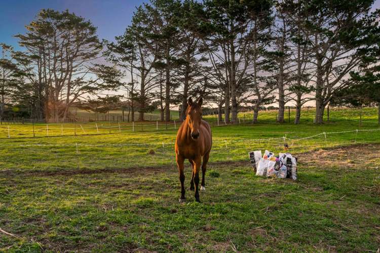 296a Oaia Road Muriwai_22