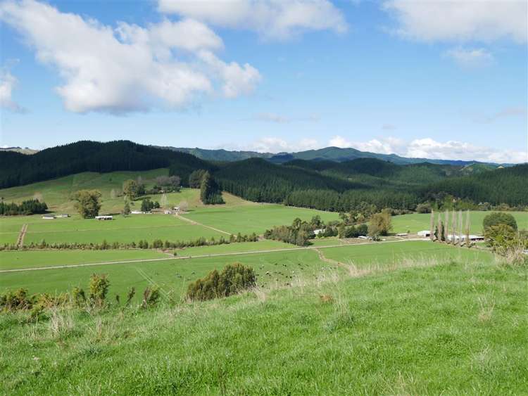 414 Sherry River Road Tapawera_15