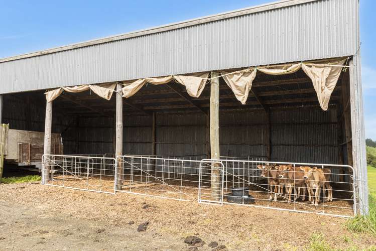 1371 Waihue Road Dargaville Surrounds_23