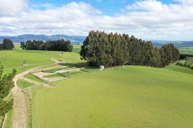 348 Keppoch Road West Otago Surrounds_4