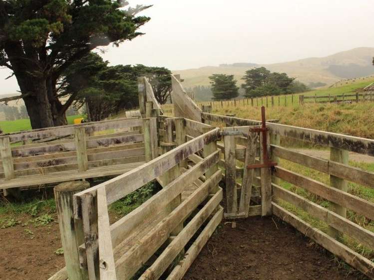 912 Range Road Pongaroa_8