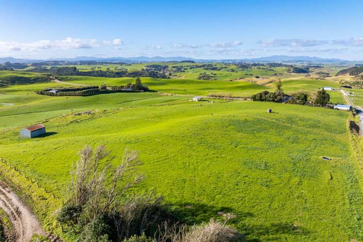 Lot 8 Mahuta Road Dargaville_9